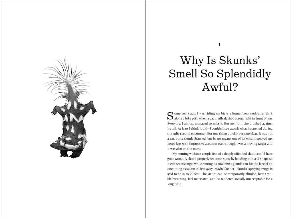 Weitere Ansicht: Why Rats Laugh and Jellyfish Sleep | David Stipp