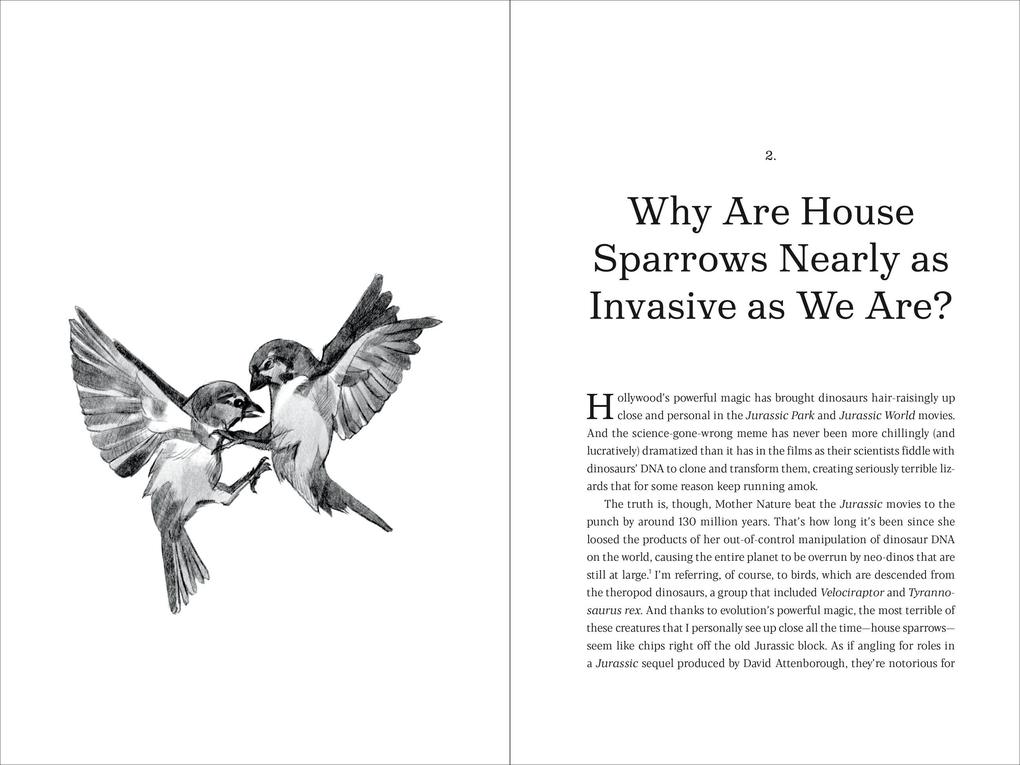 Weitere Ansicht: Why Rats Laugh and Jellyfish Sleep | David Stipp