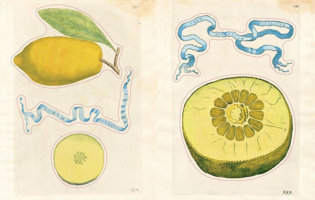 Weitere Ansicht: John Derian Sticker Book II | John Derian