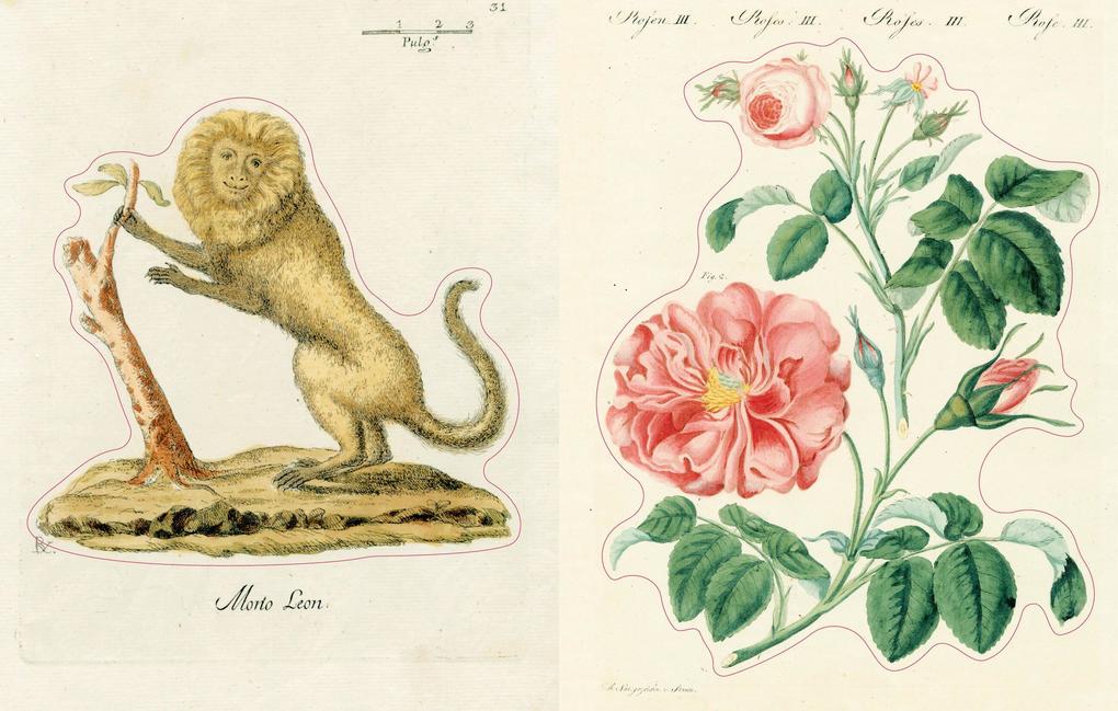 Weitere Ansicht: John Derian Sticker Book II | John Derian