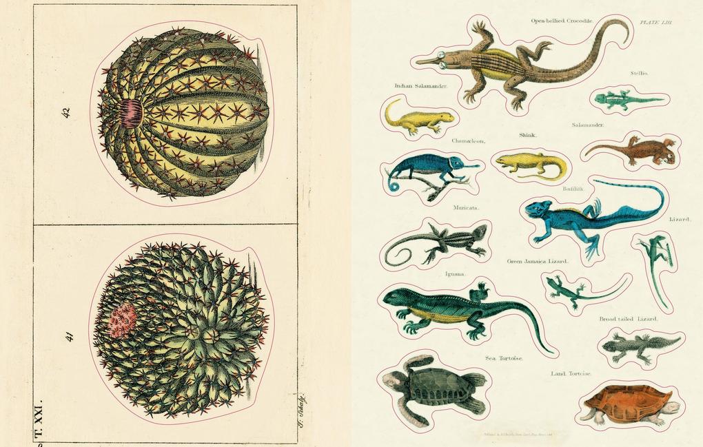 Weitere Ansicht: John Derian Sticker Book II | John Derian