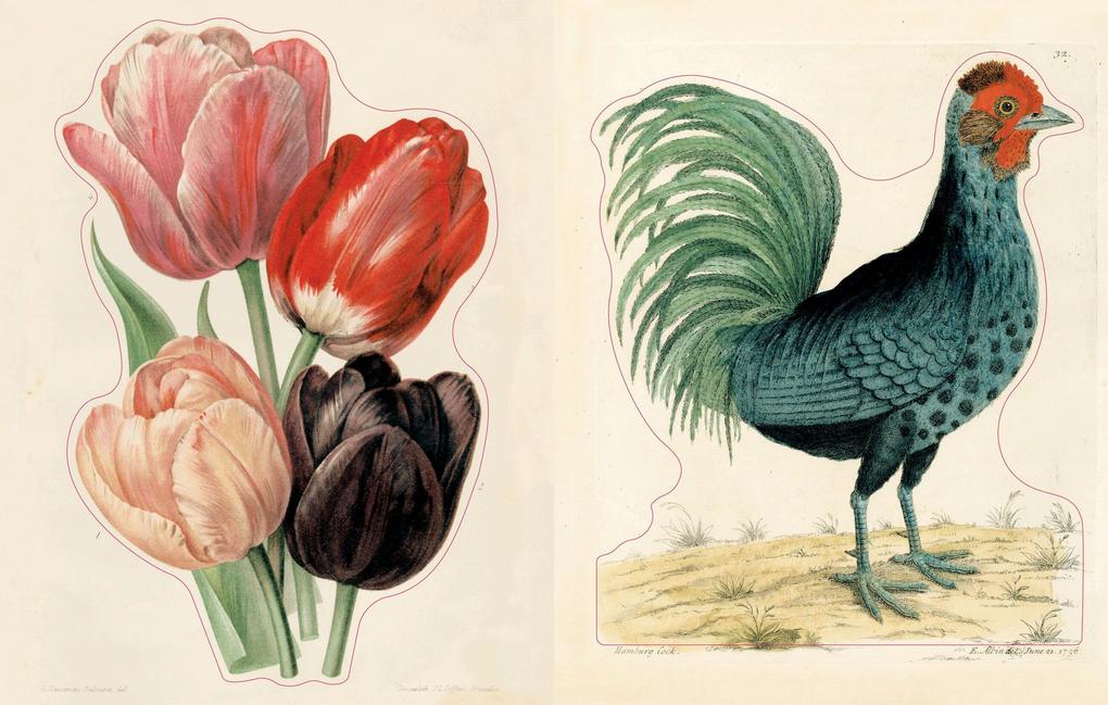 Weitere Ansicht: John Derian Sticker Book II | John Derian