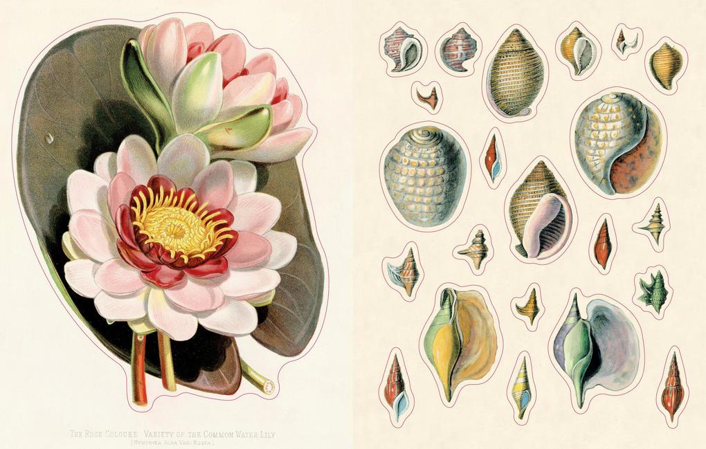 Weitere Ansicht: John Derian Sticker Book II | John Derian