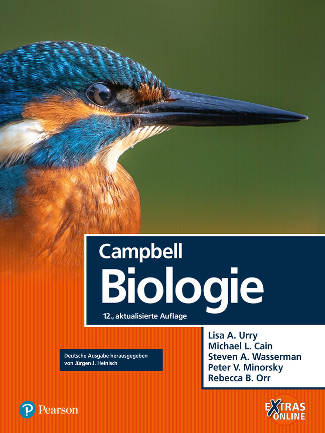 Produktbild: Campbell Biologie | Lisa A. Urry, Michael L. Cain, Steven A. Wasserman, Peter V. Minorsky, Rebecca B. Orr