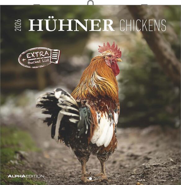 Produktbild: Hühner 2026 - Broschürenkalender 30x30 cm (30x60 geöffnet) - Kalender mit Platz für Notizen - Hühner - Bildkalender - Wandkalender - Hühnerkalender | Alpha Edition GmbH & Co. KG