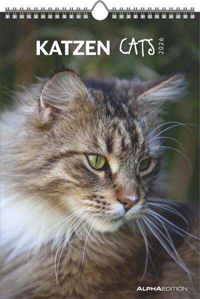 Produktbild: Katzen 2026 - Bildkalender 23,7x34 cm - Kalender mit Platz für Notizen - mit vielen Zusatzinformationen - Cats - Wandkalender - Alpha Edition | Alpha Edition GmbH & Co. KG