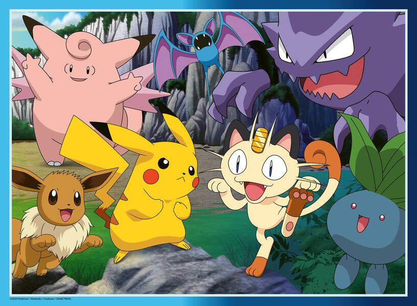 Produktbild: 300 XXL Teile - Pokémon - Fang die Pokémon!