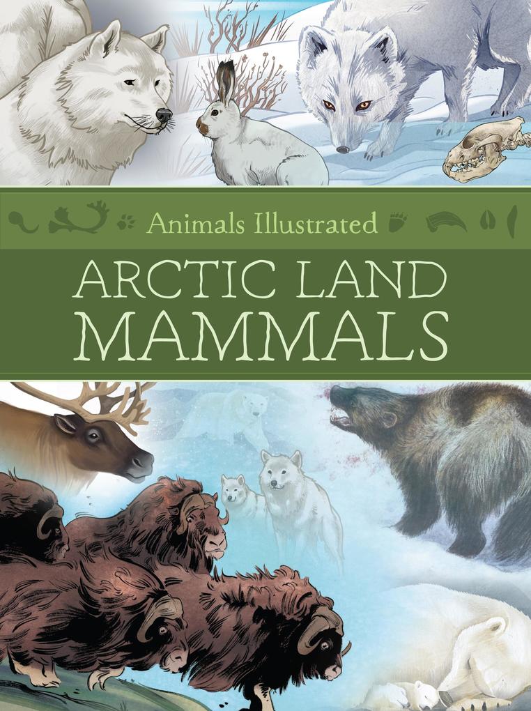 Produktbild: Animals Illustrated: Arctic Land Mammals