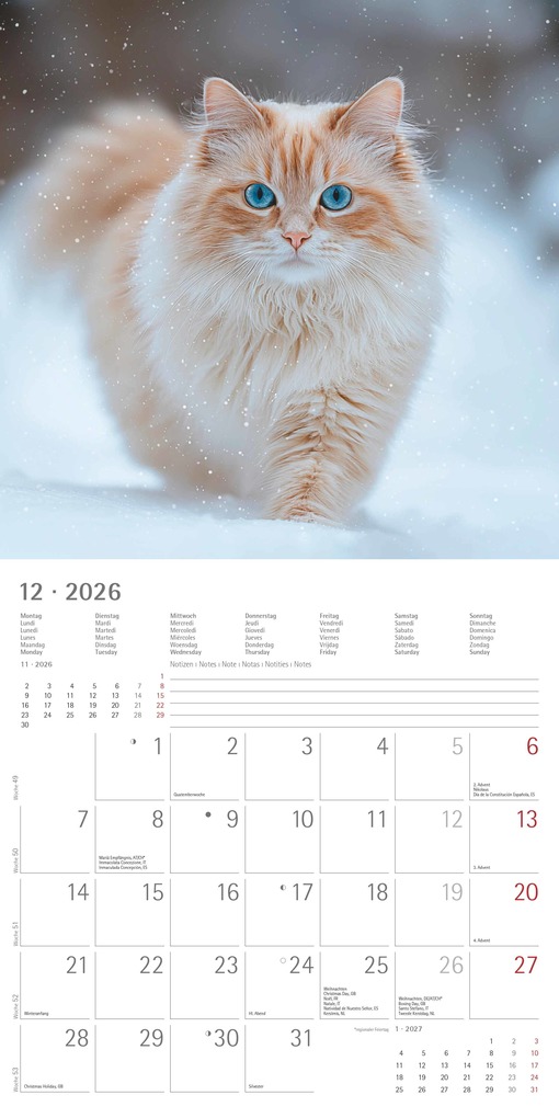 Weitere Ansicht: Katzen 2026 - Broschürenkalender 30x30 cm (30x60 geöffnet) - Kalender mit Platz für Notizen - Cats - Bildkalender - Wandplaner - Katzenkalender | Alpha Edition GmbH & Co. KG