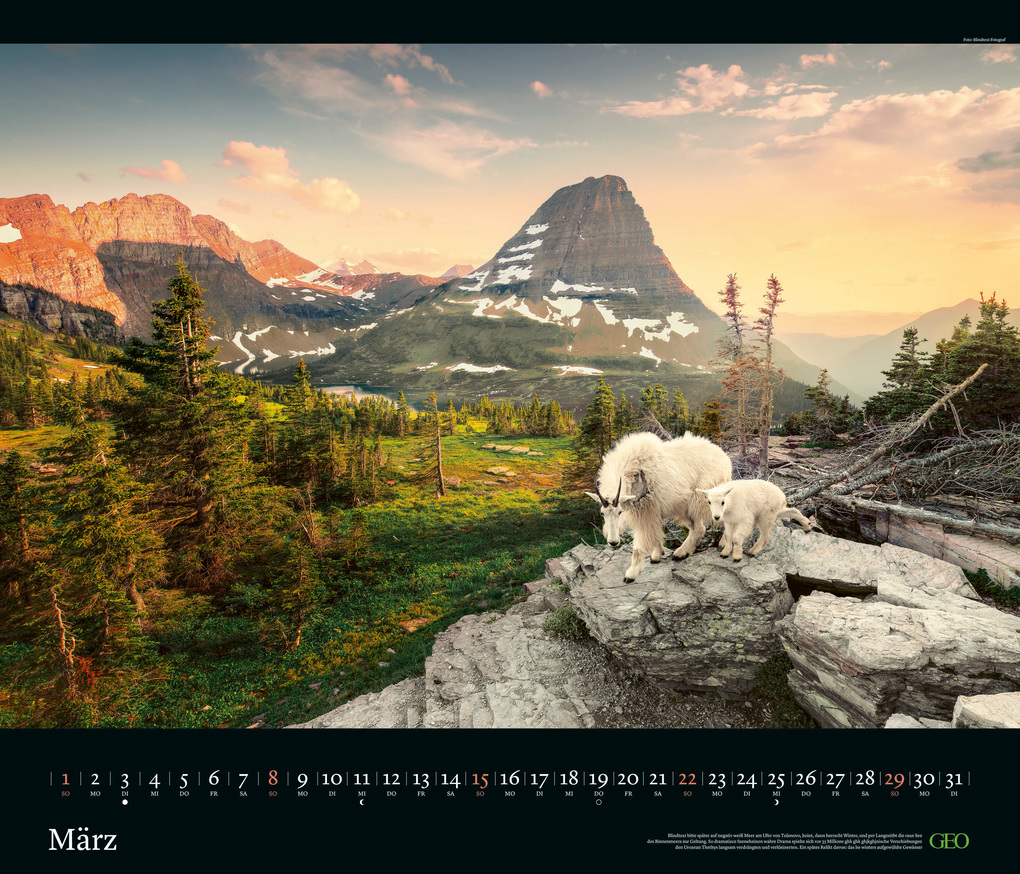Weitere Ansicht: GEO - GEO Edition: Tierwelten 2026 - Wandkalender 70x60 cm, Tier-Poster-Kalender mit Wildlife-Fotografie, 12 Monatsblätter & Spiralbindung inkl. Postkarten für Tier- und Naturfreunde | Neumann Verlage GmbH & Co. KG