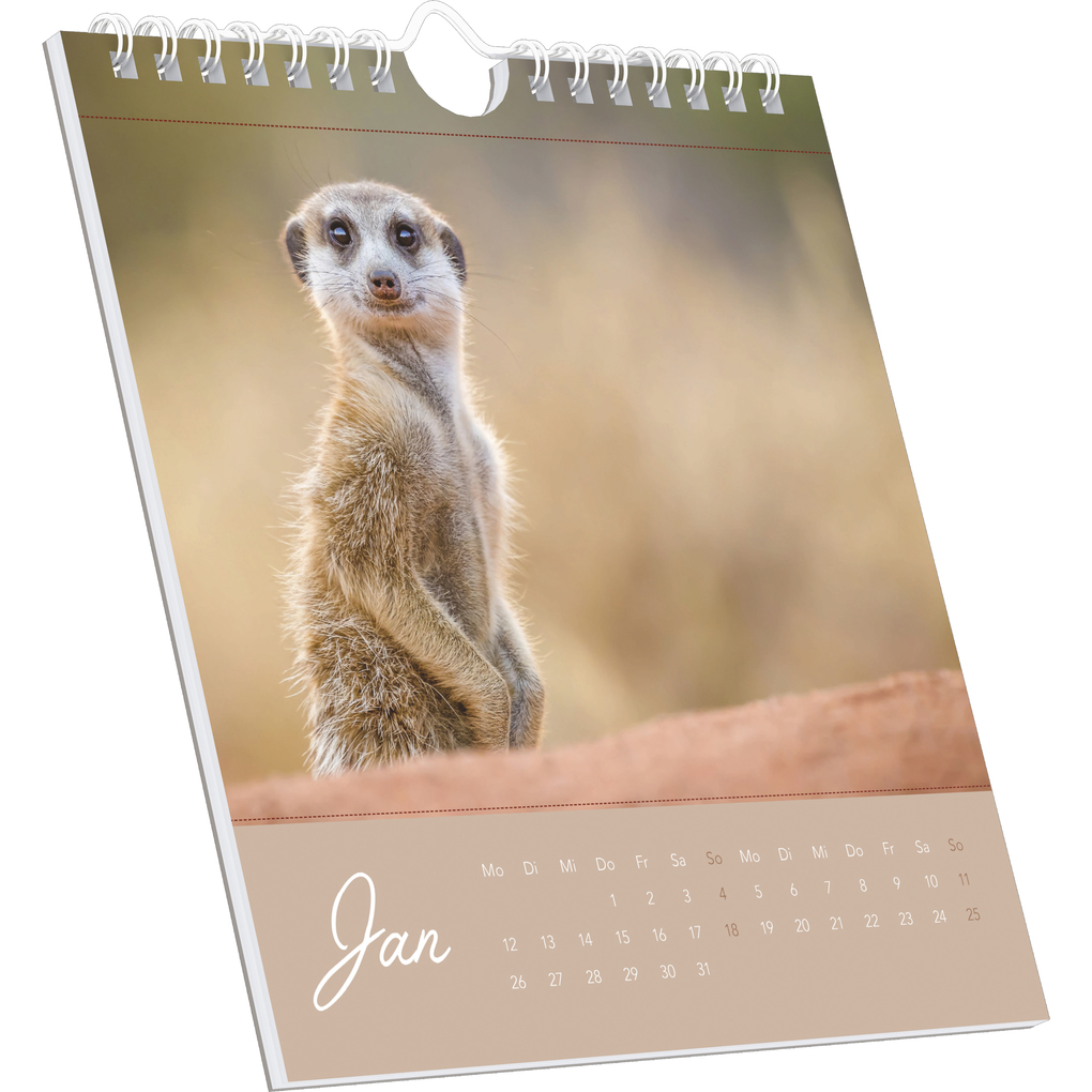 Weitere Ansicht: Alpha Edition - Freche Erdmännchen 2026 - Postkartenkalender 16×17 cm mit 53 witzigen Motiven, dekorativer Tisch- & Wandkalender auf FSC-Papier, zum Verschicken, Sammeln & Verschenken | Alpha Edition GmbH & Co. KG