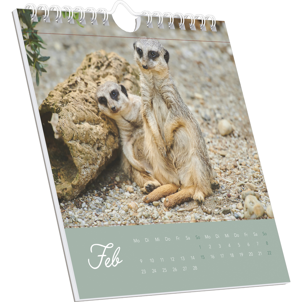 Weitere Ansicht: Alpha Edition - Freche Erdmännchen 2026 - Postkartenkalender 16×17 cm mit 53 witzigen Motiven, dekorativer Tisch- & Wandkalender auf FSC-Papier, zum Verschicken, Sammeln & Verschenken | Alpha Edition GmbH & Co. KG