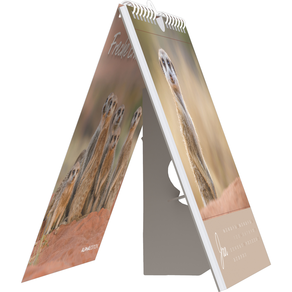 Weitere Ansicht: Alpha Edition - Freche Erdmännchen 2026 - Postkartenkalender 16×17 cm mit 53 witzigen Motiven, dekorativer Tisch- & Wandkalender auf FSC-Papier, zum Verschicken, Sammeln & Verschenken | Alpha Edition GmbH & Co. KG