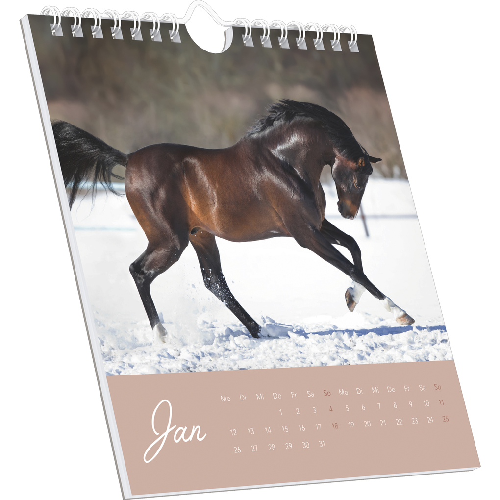 Weitere Ansicht: Alpha Edition - Traumpferde Kalender 2026 - Postkartenkalender 16×17 cm mit Pferdemotiven, zum Aufstellen oder Aufhängen, dekorativer Tischkalender & Geschenkidee für Pferdeliebhaber | Alpha Edition GmbH & Co. KG