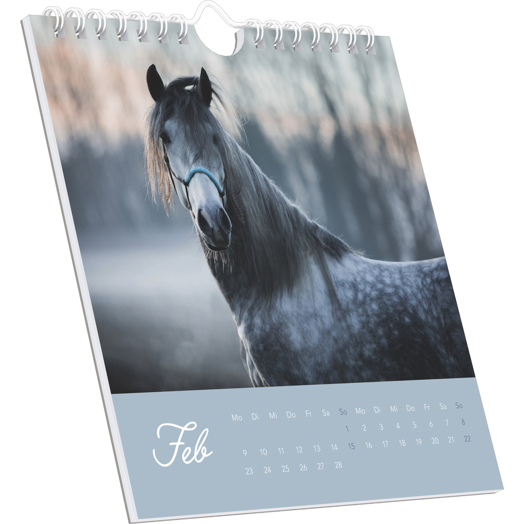 Weitere Ansicht: Alpha Edition - Traumpferde Kalender 2026 - Postkartenkalender 16×17 cm mit Pferdemotiven, zum Aufstellen oder Aufhängen, dekorativer Tischkalender & Geschenkidee für Pferdeliebhaber | Alpha Edition GmbH & Co. KG