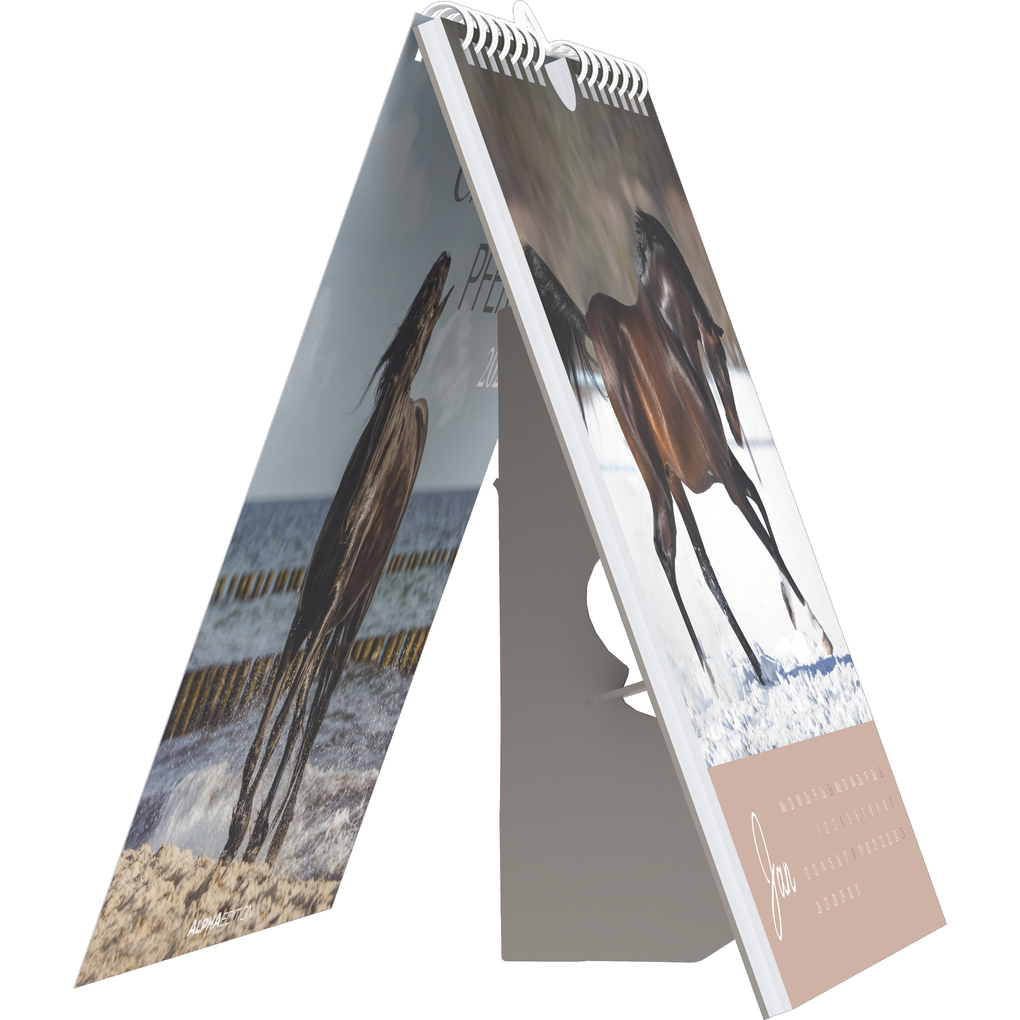Weitere Ansicht: Alpha Edition - Traumpferde Kalender 2026 - Postkartenkalender 16×17 cm mit Pferdemotiven, zum Aufstellen oder Aufhängen, dekorativer Tischkalender & Geschenkidee für Pferdeliebhaber | Alpha Edition GmbH & Co. KG