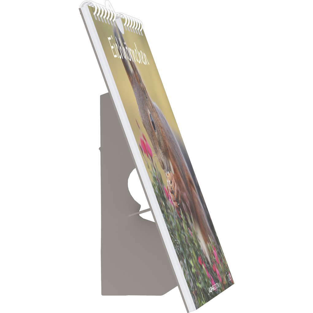 Weitere Ansicht: Alpha Edition - Eichhörnchen 2026 - Postkartenkalender 16×17 cm mit 53 charmanten Motiven, dekorativer Tisch- & Wandkalender mit FSC-Papier, zum Verschicken, Sammeln & Verschenken | Alpha Edition GmbH & Co. KG
