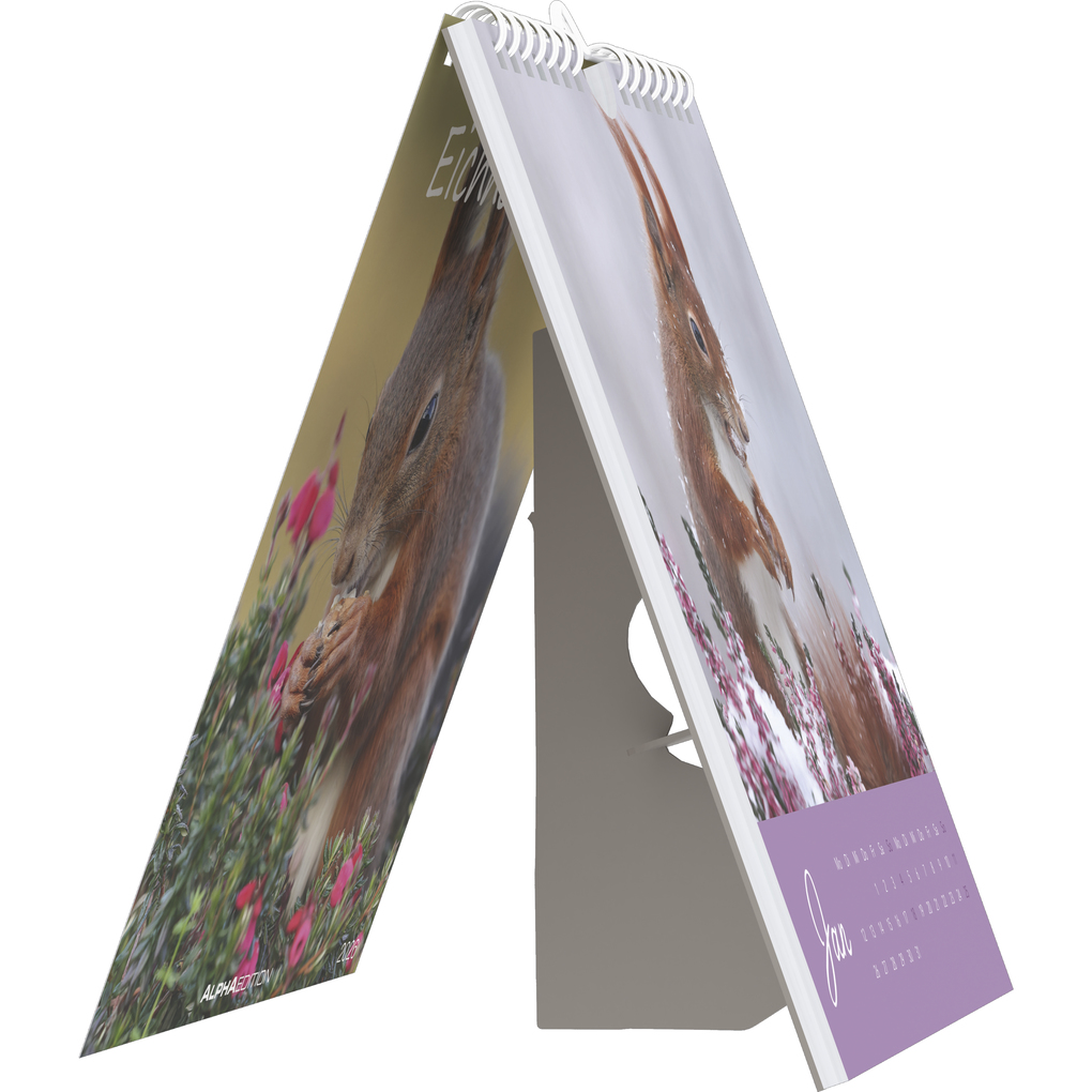 Weitere Ansicht: Alpha Edition - Eichhörnchen 2026 - Postkartenkalender 16×17 cm mit 53 charmanten Motiven, dekorativer Tisch- & Wandkalender mit FSC-Papier, zum Verschicken, Sammeln & Verschenken | Alpha Edition GmbH & Co. KG