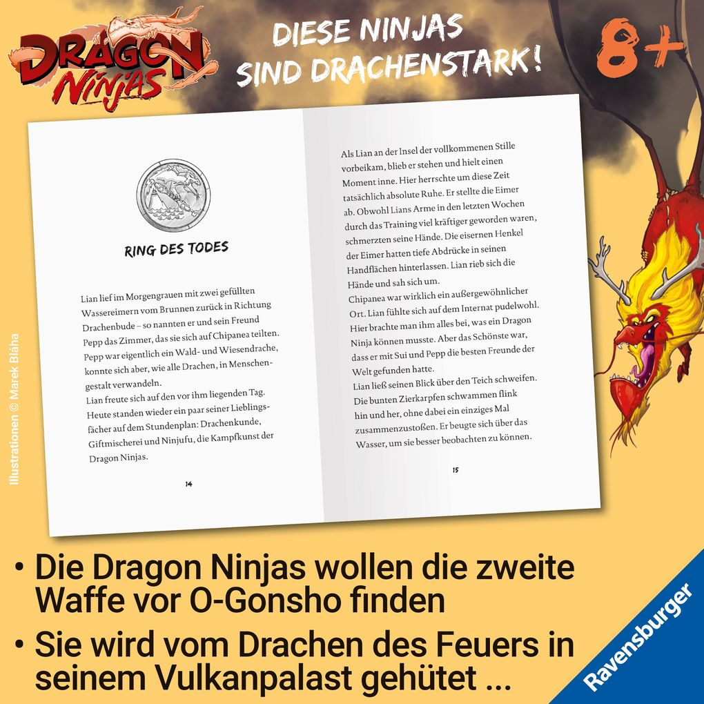 Weitere Ansicht: Dragon Ninjas, Band 2 - Der Drache des Feuers | Michael Petrowitz