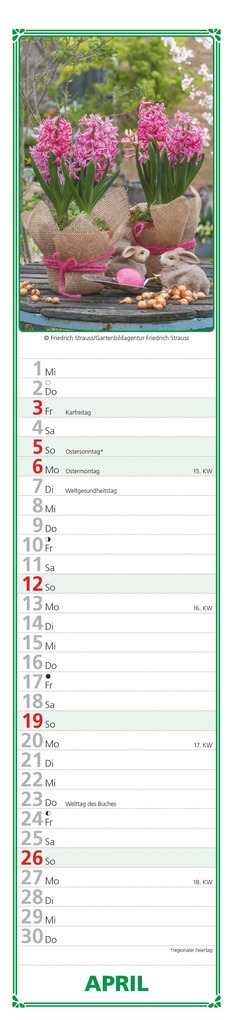 Weitere Ansicht: Alpha Edition - Paules Gartenplaner Kalender 2026 - 11x50 cm - Streifenplaner mit monatlichen Gartentipps - Praktischer Wandkalender für Hobbygärtner - Mit Feiertagen (DE/AT/CH) & Mondphasen | Alpha Edition GmbH & Co. KG