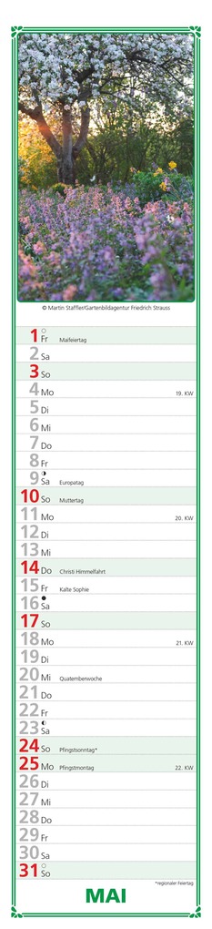 Weitere Ansicht: Alpha Edition - Paules Gartenplaner Kalender 2026 - 11x50 cm - Streifenplaner mit monatlichen Gartentipps - Praktischer Wandkalender für Hobbygärtner - Mit Feiertagen (DE/AT/CH) & Mondphasen | Alpha Edition GmbH & Co. KG