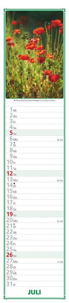 Weitere Ansicht: Alpha Edition - Paules Gartenplaner Kalender 2026 - 11x50 cm - Streifenplaner mit monatlichen Gartentipps - Praktischer Wandkalender für Hobbygärtner - Mit Feiertagen (DE/AT/CH) & Mondphasen | Alpha Edition GmbH & Co. KG