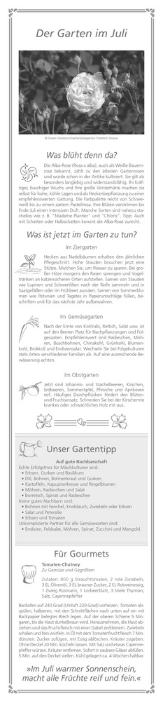 Weitere Ansicht: Alpha Edition - Paules Gartenplaner Kalender 2026 - 11x50 cm - Streifenplaner mit monatlichen Gartentipps - Praktischer Wandkalender für Hobbygärtner - Mit Feiertagen (DE/AT/CH) & Mondphasen | Alpha Edition GmbH & Co. KG