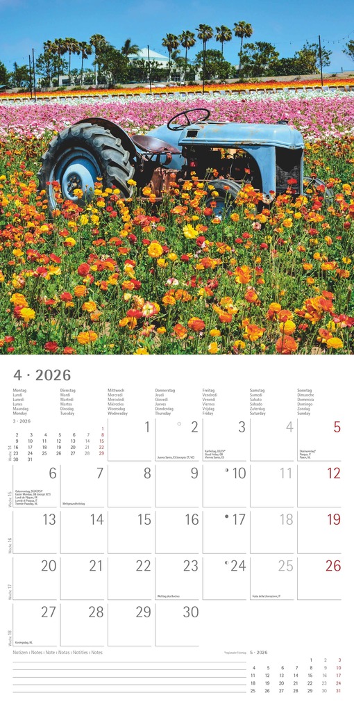 Weitere Ansicht: Alpha Edition - Traktoren 2026 - Broschürenkalender 30x30 cm - Wandkalender - Für Trecker- und Landwirtschafts-Fans - Mit Platz für Notizen, Feiertagen & Ferienterminen | Alpha Edition GmbH & Co. KG