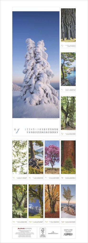 Weitere Ansicht: Bäume 2026 - Streifenkalender XXL 25x69 cm - Bildkalender im Hochformat - Wandplaner - Wandkalender - Bäumekalender | Alpha Edition GmbH & Co. KG
