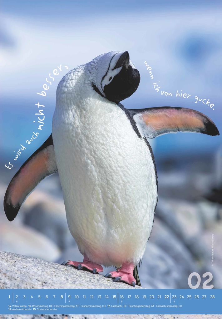 Weitere Ansicht: Alpha Edition - Tierisch cool! Kalender 2026 - Wandkalender 23,7×34 cm mit lustigen Tiermotiven & Sprüchen, humorvoller Bildkalender mit Platz für Notizen, perfektes Geschenk für Tier- & Humorfreunde | Alpha Edition GmbH & Co. KG