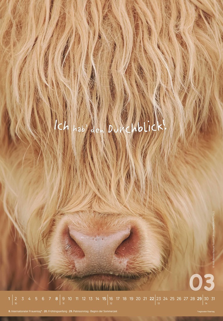 Weitere Ansicht: Alpha Edition - Tierisch cool! Kalender 2026 - Wandkalender 23,7×34 cm mit lustigen Tiermotiven & Sprüchen, humorvoller Bildkalender mit Platz für Notizen, perfektes Geschenk für Tier- & Humorfreunde | Alpha Edition GmbH & Co. KG