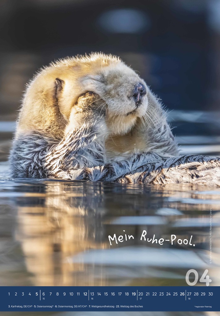 Weitere Ansicht: Alpha Edition - Tierisch cool! Kalender 2026 - Wandkalender 23,7×34 cm mit lustigen Tiermotiven & Sprüchen, humorvoller Bildkalender mit Platz für Notizen, perfektes Geschenk für Tier- & Humorfreunde | Alpha Edition GmbH & Co. KG