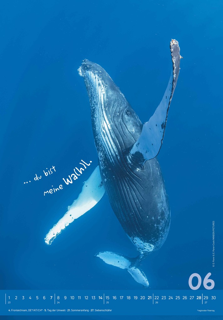 Weitere Ansicht: Alpha Edition - Tierisch cool! Kalender 2026 - Wandkalender 23,7×34 cm mit lustigen Tiermotiven & Sprüchen, humorvoller Bildkalender mit Platz für Notizen, perfektes Geschenk für Tier- & Humorfreunde | Alpha Edition GmbH & Co. KG