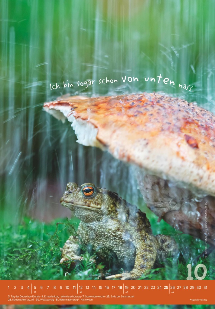 Weitere Ansicht: Alpha Edition - Tierisch cool! Kalender 2026 - Wandkalender 23,7×34 cm mit lustigen Tiermotiven & Sprüchen, humorvoller Bildkalender mit Platz für Notizen, perfektes Geschenk für Tier- & Humorfreunde | Alpha Edition GmbH & Co. KG