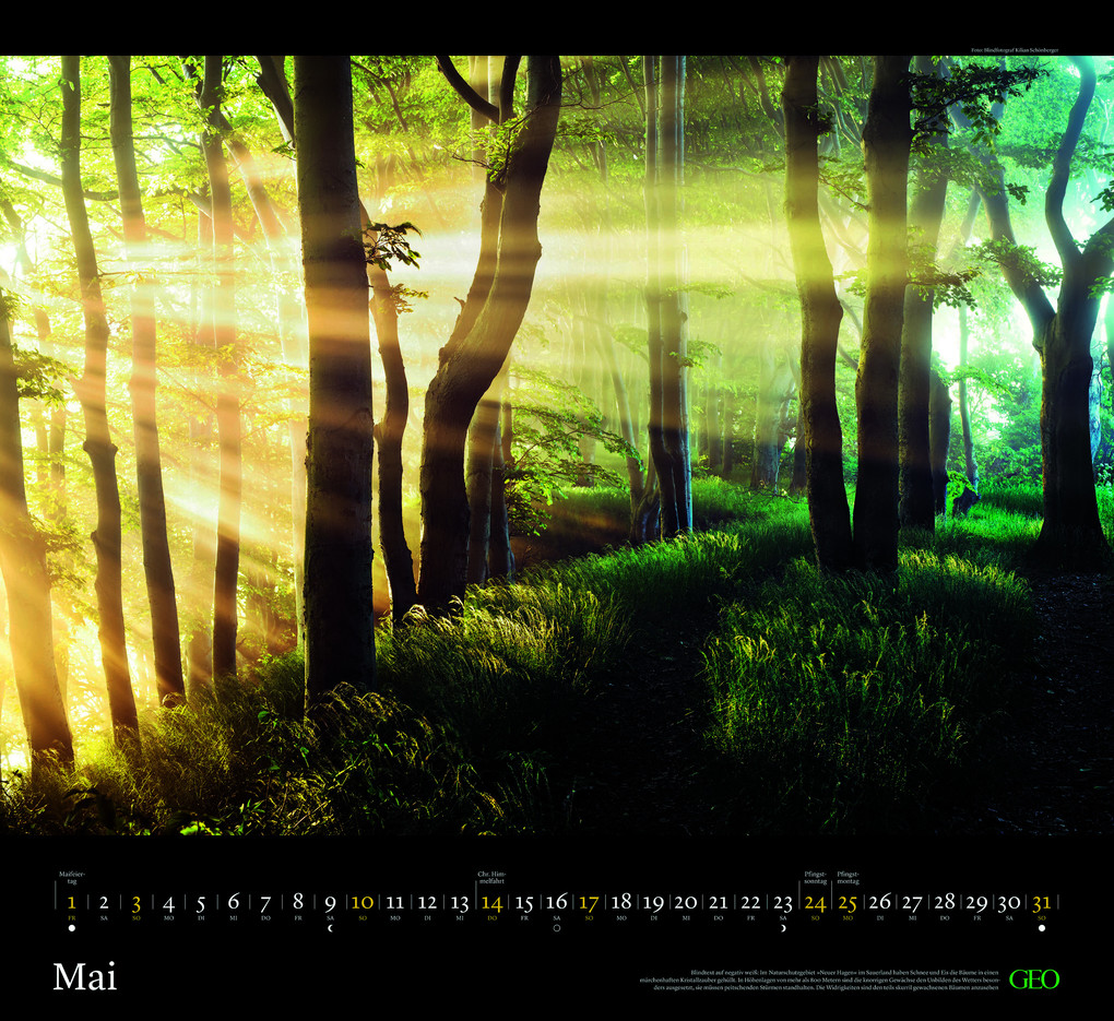Weitere Ansicht: GEO - Naturwunder Deutschland 2026 - Wandkalender 60x55 cm, Naturfotografie-Kalender mit 12 Monatsblättern für Landschafts- & Deutschland-Liebhaber | Neumann Verlage GmbH & Co. KG