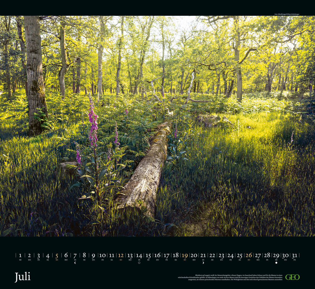 Weitere Ansicht: GEO - Naturwunder Deutschland 2026 - Wandkalender 60x55 cm, Naturfotografie-Kalender mit 12 Monatsblättern für Landschafts- & Deutschland-Liebhaber | Neumann Verlage GmbH & Co. KG