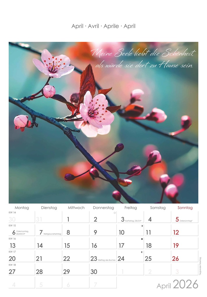 Weitere Ansicht: Auszeit für die Seele 2026 - Bildkalender 23,7x34 cm - Kalender mit Platz für Notizen - mit vielen Zusatzinformationen - Wandkalender - Alpha Edition | Alpha Edition GmbH & Co. KG
