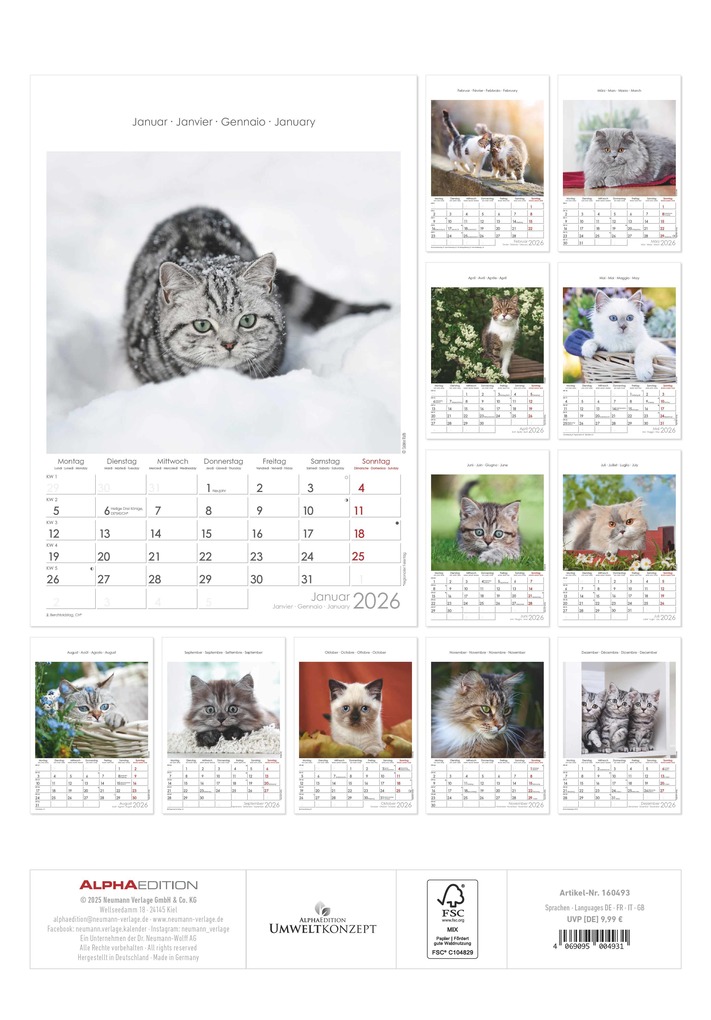 Weitere Ansicht: Katzen 2026 - Bildkalender 23,7x34 cm - Kalender mit Platz für Notizen - mit vielen Zusatzinformationen - Cats - Wandkalender - Alpha Edition | Alpha Edition GmbH & Co. KG