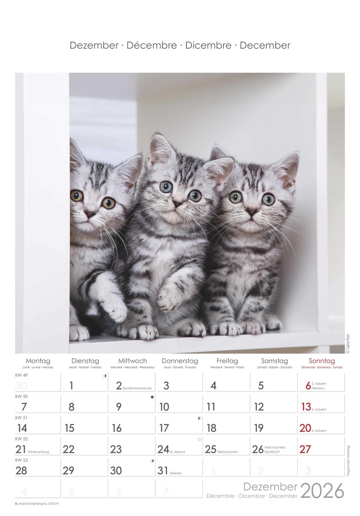 Weitere Ansicht: Katzen 2026 - Bildkalender 23,7x34 cm - Kalender mit Platz für Notizen - mit vielen Zusatzinformationen - Cats - Wandkalender - Alpha Edition | Alpha Edition GmbH & Co. KG
