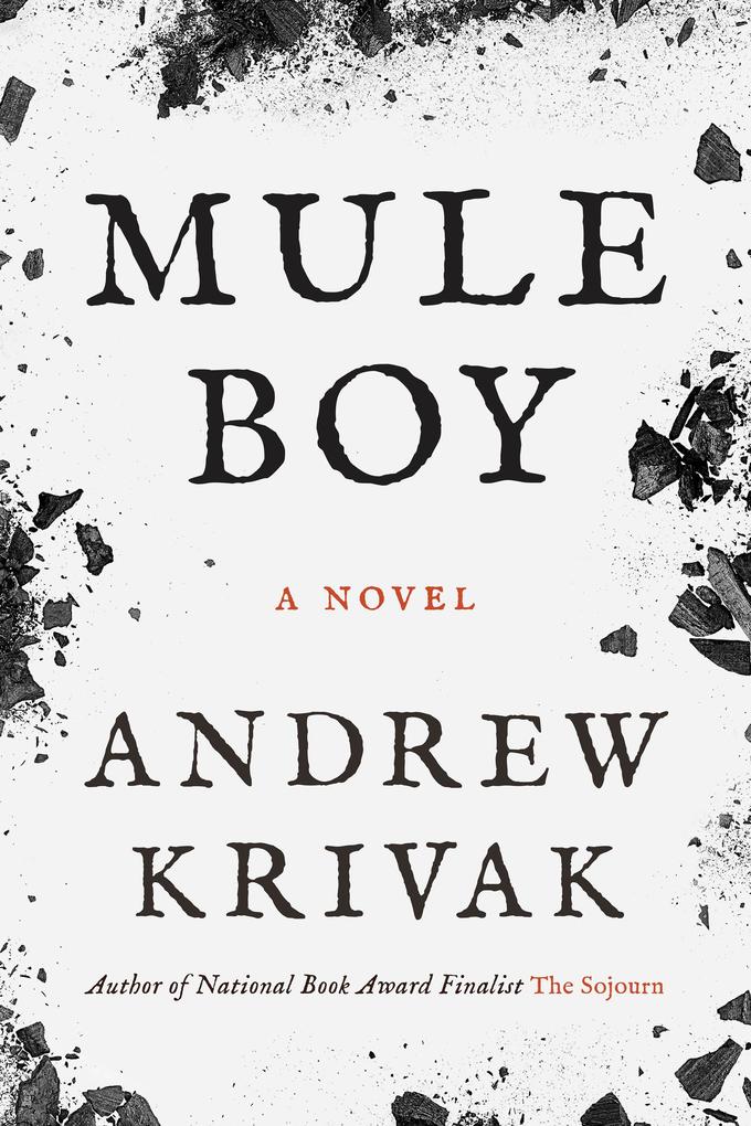 Produktbild: Mule Boy | Andrew Krivak