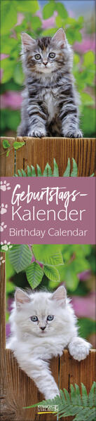 Produktbild: Geburtstags-Langplaner Cats