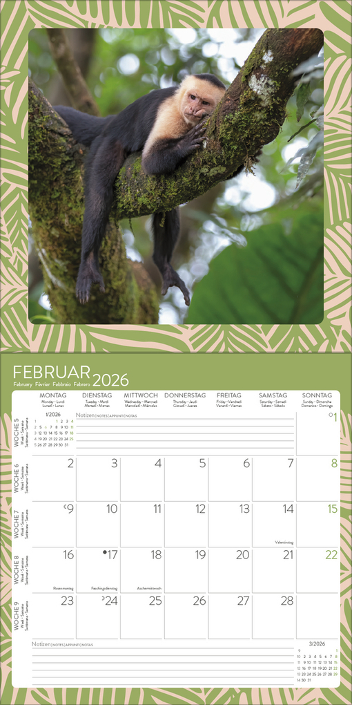 Weitere Ansicht: Achtung wild - Tiere aus aller Welt 2026