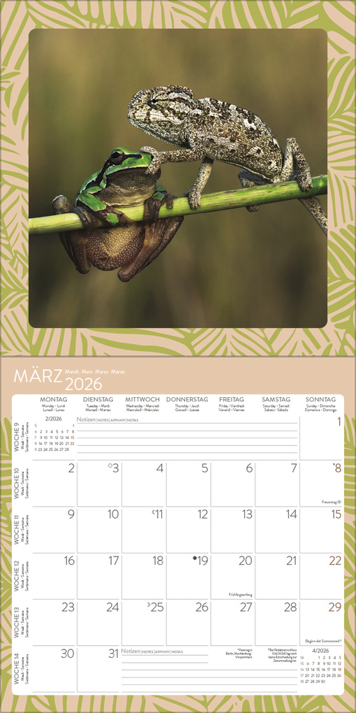 Weitere Ansicht: Achtung wild - Tiere aus aller Welt 2026