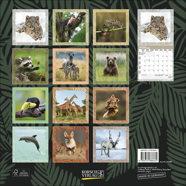 Weitere Ansicht: Achtung wild - Tiere aus aller Welt 2026