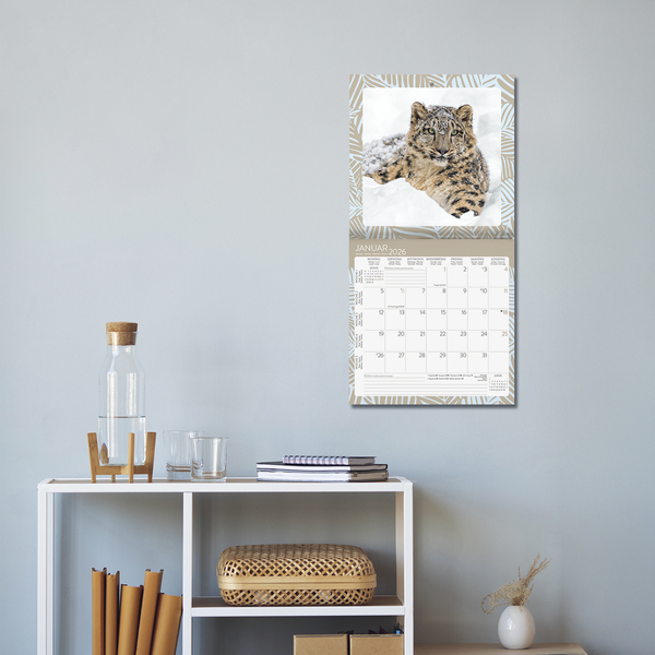 Weitere Ansicht: Achtung wild - Tiere aus aller Welt 2026