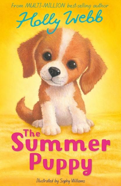 Produktbild: The Summer Puppy | Holly Webb