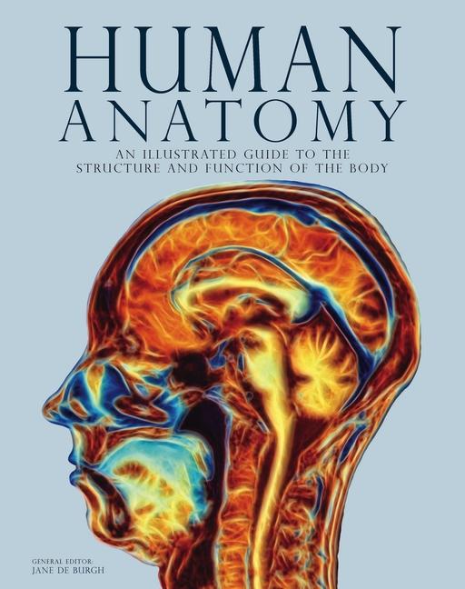 Produktbild: Human Anatomy