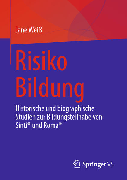 Produktbild: Risiko Bildung | Jane Weiß