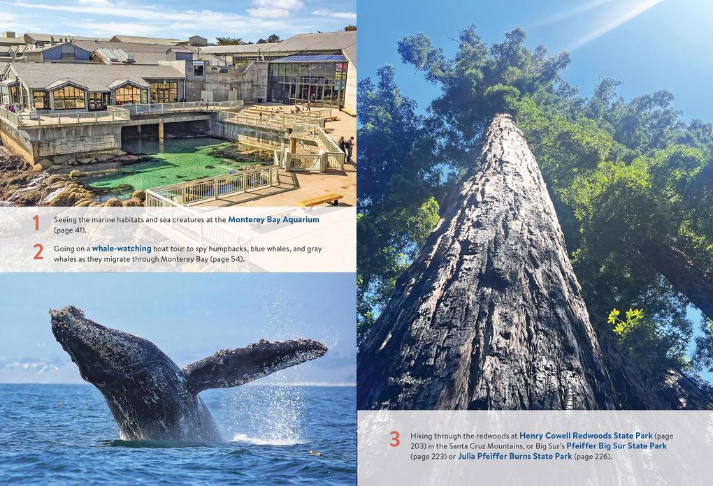 Weitere Ansicht: Moon Monterey & Carmel: With Santa Cruz & Big Sur | Stuart Thornton, Moon Travel Guides