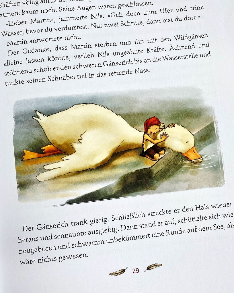 Weitere Ansicht: Klassiker zum Vorlesen. Nils Holgersson | Usch Luhn